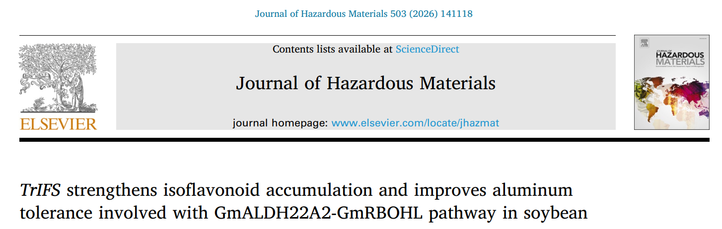 上海交大农业与生物学院王彪课题组与合作者发现大豆异黄酮耐铝新机制