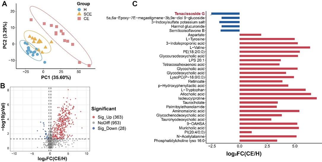 中国农业大学动医学院徐闯教授团队解析奶牛子宫内膜炎子宫微生态特征 挖掘替代抗生素治疗潜在药物通关藤苷G