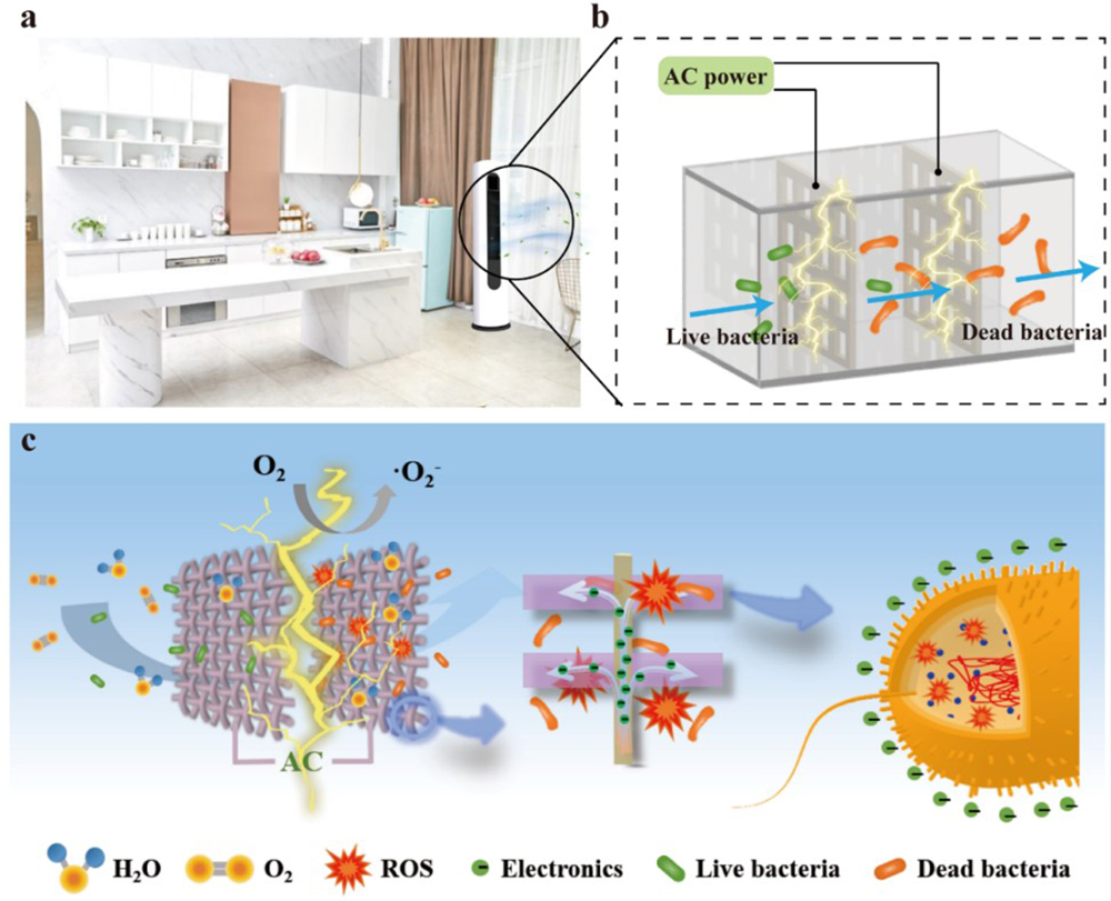 中国海洋大学在密闭空间高效空气杀菌领域取得新进展
