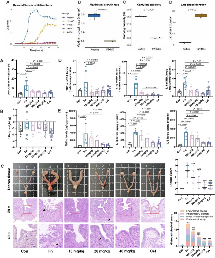 中国农业大学动医学院徐闯教授团队解析奶牛子宫内膜炎子宫微生态特征 挖掘替代抗生素治疗潜在药物通关藤苷G