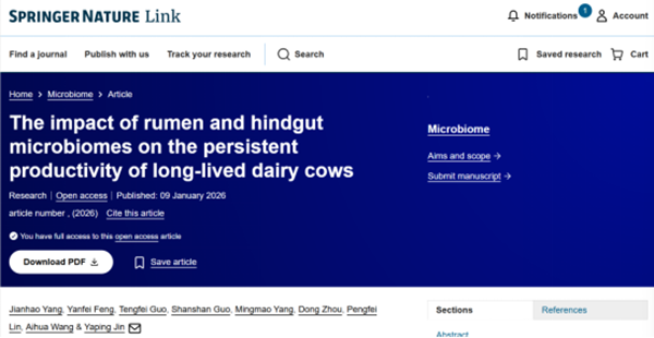 西北农林科技大学（795）动医学院靳亚平教授团队揭秘长寿高产奶牛的”微生态引擎”：消化道微生物调控奶牛长寿高产的新机制