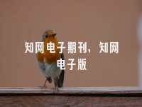 学术会议在线