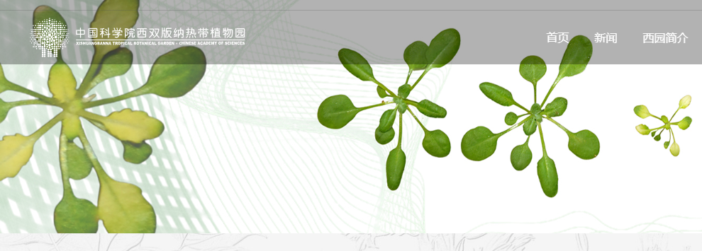 中国科学院西双版纳热带植物园