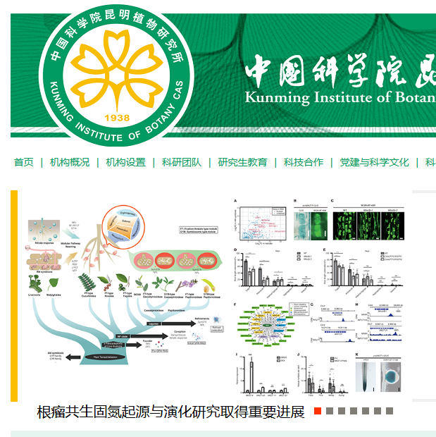 中国科学院昆明植物研究所