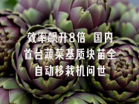 学术会议在线