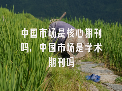 中国市场是核心期刊吗,中国市场是学术期刊吗