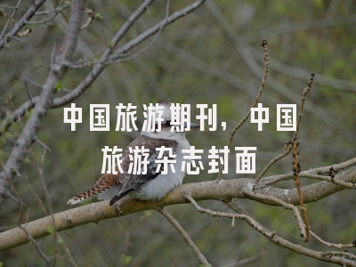 中国旅游期刊,中国旅游杂志封面