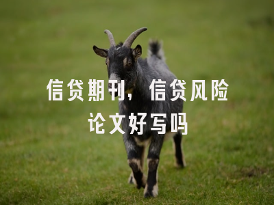 信贷期刊,信贷风险论文好写吗