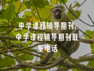 中学课程辅导期刊,中学课程辅导期刊联系电话