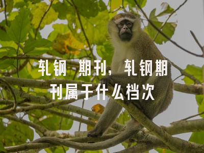 轧钢 期刊,轧钢期刊属于什么档次