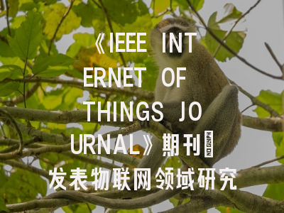 《IEEE INTERNET OF THINGS JOURNAL》期刊：发表物联网领域研究的指南