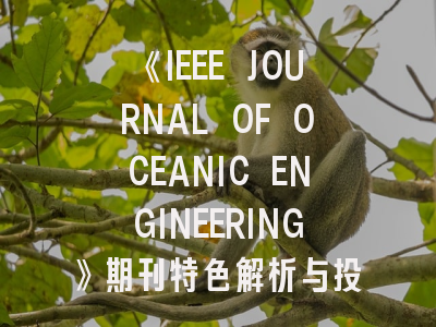 《IEEE JOURNAL OF OCEANIC ENGINEERING》期刊特色解析与投稿指南