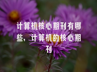 计算机核心期刊有哪些,计算机的核心期刊
