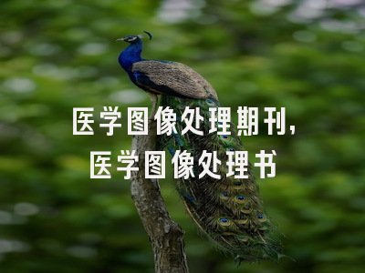 医学图像处理期刊,医学图像处理书