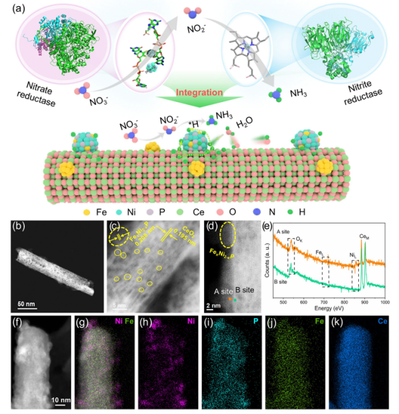 科学家提出构建双活性位点仿酶催化策略