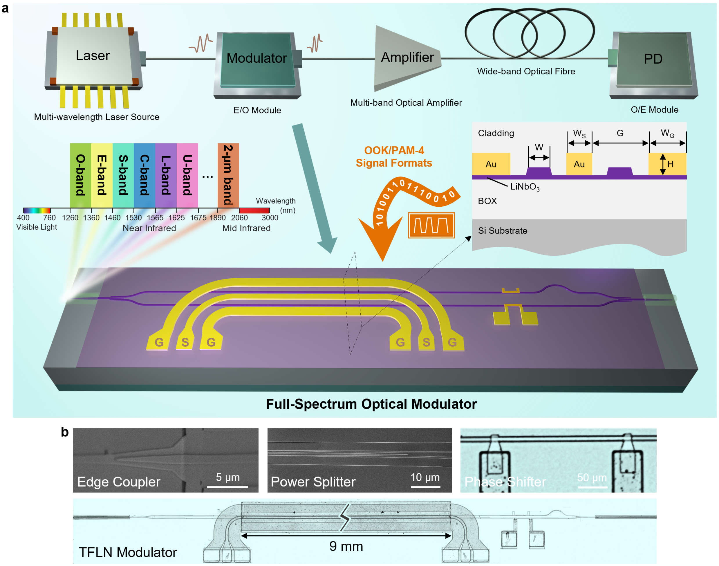 华中科技大学武汉光电国家研究中心研制出800nm超宽带薄膜铌酸锂高速电光调制器