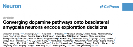 西安交大王昌河教授团队揭示探索决策的神经编码机制