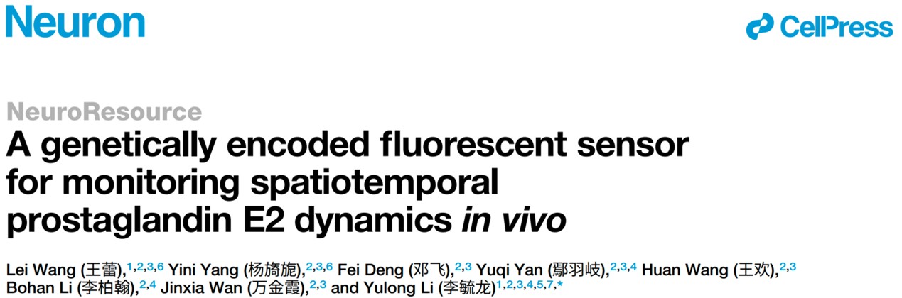 北京大学生命科学学院李毓龙实验室开发新型荧光探针，解码前列腺素E2在炎症与癫痫状态下的时空动态差异