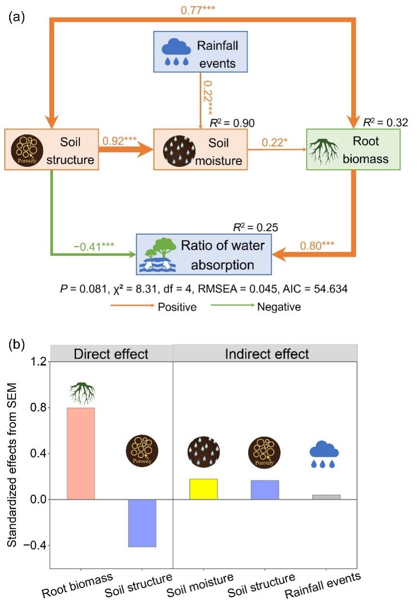 森环森保所揭示宝天曼不同林龄锐齿栎林水分利用机制