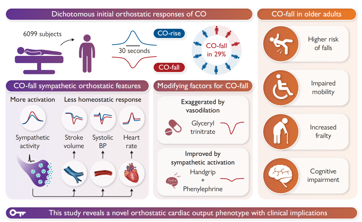 西安交大联合国际团队发现站立心输出量应答新表型