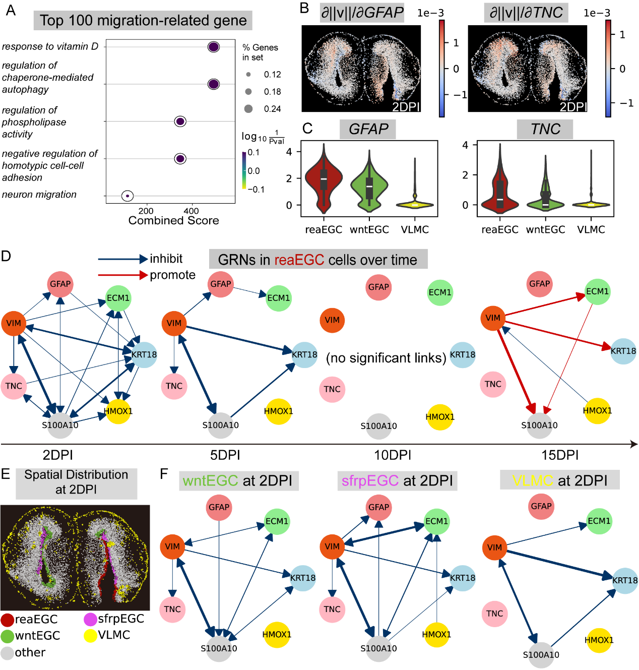 北京大学数学科学学院李铁军/周沛劼团队建立单细胞时空转录组动力学重构新方法stVCR