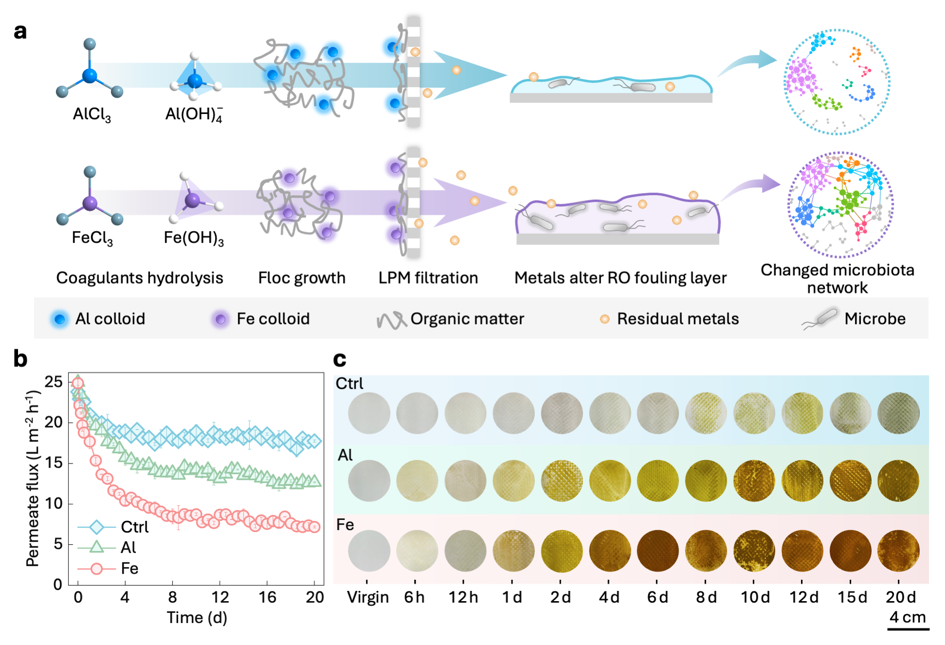 清华大学环境学院黄霞团队合作揭示混凝预处理可能加重反渗透膜污染的新机理
