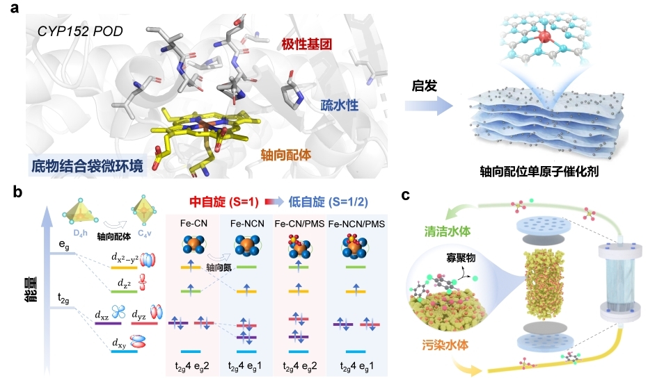 哈工大王爱杰教授团队李智灵教授课题组在水污染控制与资源循环领域取得重要进展