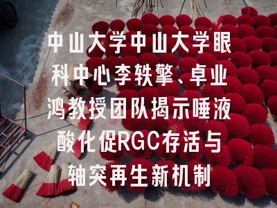 中山大学中山大学眼科中心李轶擎、卓业鸿教授团队揭示唾液酸化促RGC存活与轴突再生新机制