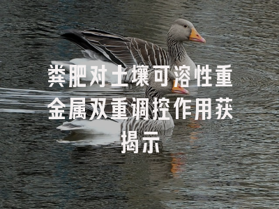 粪肥对土壤可溶性重金属双重调控作用获揭示