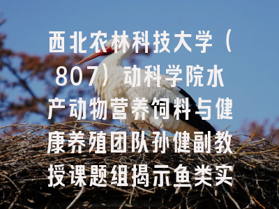 西北农林科技大学（807）动科学院水产动物营养饲料与健康养殖团队孙健副教授课题组揭示鱼类实现高效健康储能的分子机制