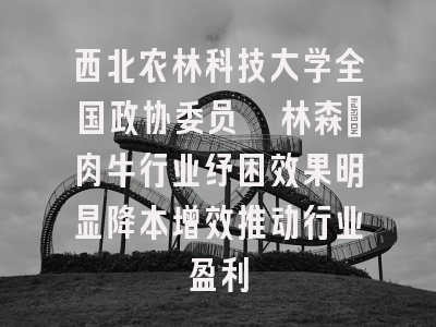 西北农林科技大学全国政协委员昝林森：肉牛行业纾困效果明显降本增效推动行业盈利