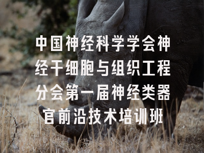 中国神经科学学会神经干细胞与组织工程分会第一届神经类器官前沿技术培训班