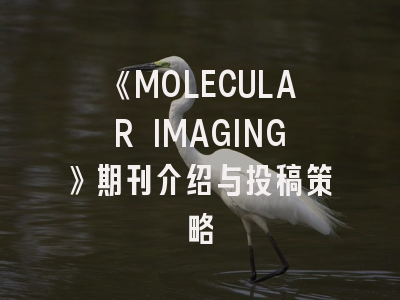 《MOLECULAR IMAGING》期刊介绍与投稿策略