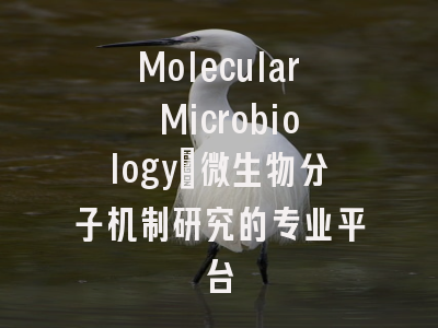Molecular Microbiology：微生物分子机制研究的专业平台