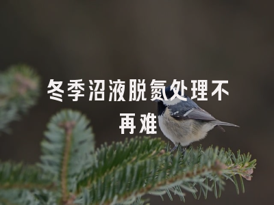 冬季沼液脱氮处理不再难