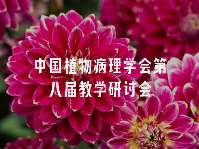 中国植物病理学会第八届教学研讨会