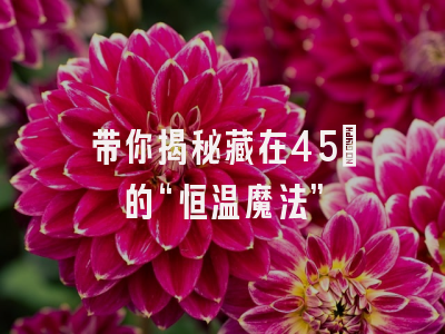 带你揭秘藏在45℃的“恒温魔法”