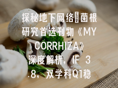 探秘地下网络：菌根研究首选刊物《MYCORRHIZA》深度解析，IF 3.8，双学科Q1稳健之选
