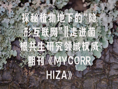 探秘植物地下的“隐形互联网”：走进菌根共生研究领域权威期刊《MYCORRHIZA》