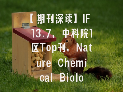 【期刊深读】IF 13.7，中科院1区Top刊，Nature Chemical Biology：跨越化学与生命的桥梁，你敢挑战吗…