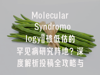 Molecular Syndromology：被低估的罕见病研究阵地？深度解析投稿全攻略与学术价值