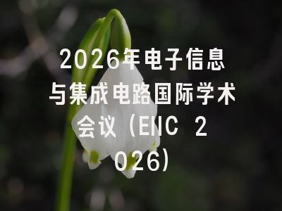 2026年电子信息与集成电路国际学术会议（EIIC 2026）