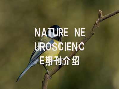 NATURE NEUROSCIENCE期刊介绍