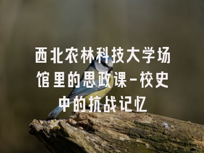 西北农林科技大学场馆里的思政课-校史中的抗战记忆