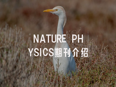 NATURE PHYSICS期刊介绍