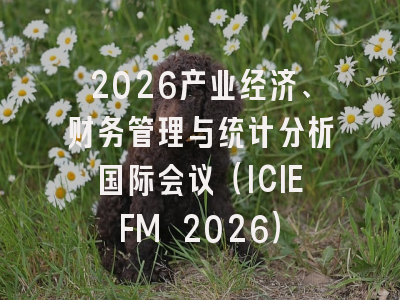 2026产业经济、财务管理与统计分析国际会议（ICIEFM 2026）
