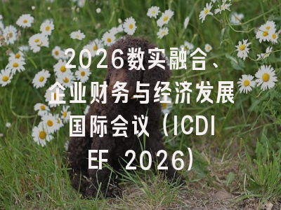 2026数实融合、企业财务与经济发展国际会议（ICDIEF 2026）