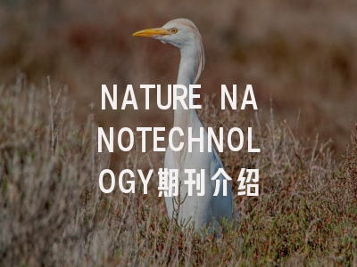 NATURE NANOTECHNOLOGY：一本值得关注的学术期刊