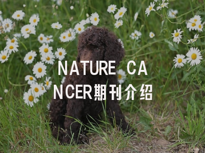 NATURE CANCER期刊介绍