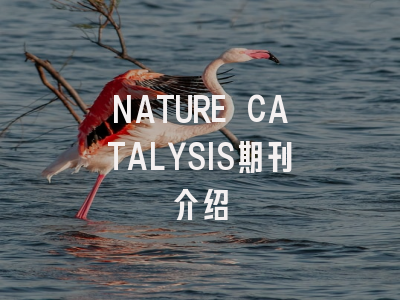 NATURE CATALYSIS期刊介绍